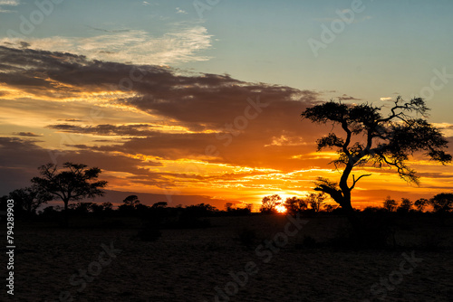 Sunrise in a landscape in the Kgalagadi Transfrontier Park in South Africa