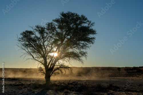 Sunset in a landscape  in the Kgalagadi Transfrontier Park in South Africa