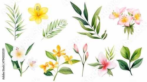 Watercolor illustration of tropical spring flowers and lush green leaves  isolated on a crisp white background  water color  drawing style  isolated clear background