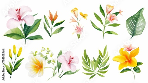 Watercolor illustration of tropical spring flowers and lush green leaves  isolated on a crisp white background  water color  drawing style  isolated clear background