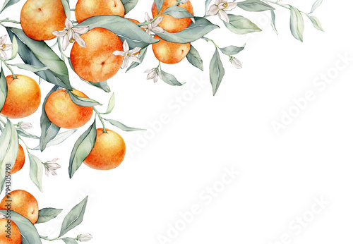 Watercolor frame illustration orange tangarine and green leaves isolated on white background. border hand painted natural plant twigs with fresh citrus fruits for design. Banner with mandarin branches