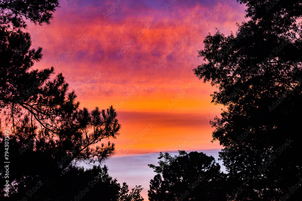 Fototapeta premium Dramatic Summer Sunset Overhead