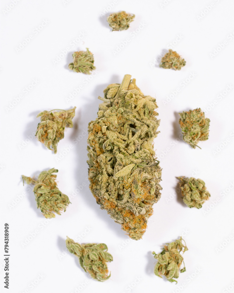 marihuana marihuana
