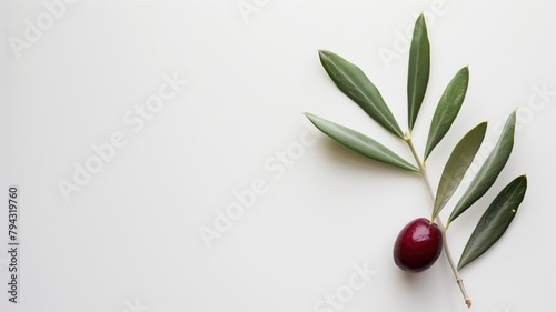 Minimalist composition with a single olive and leaves.