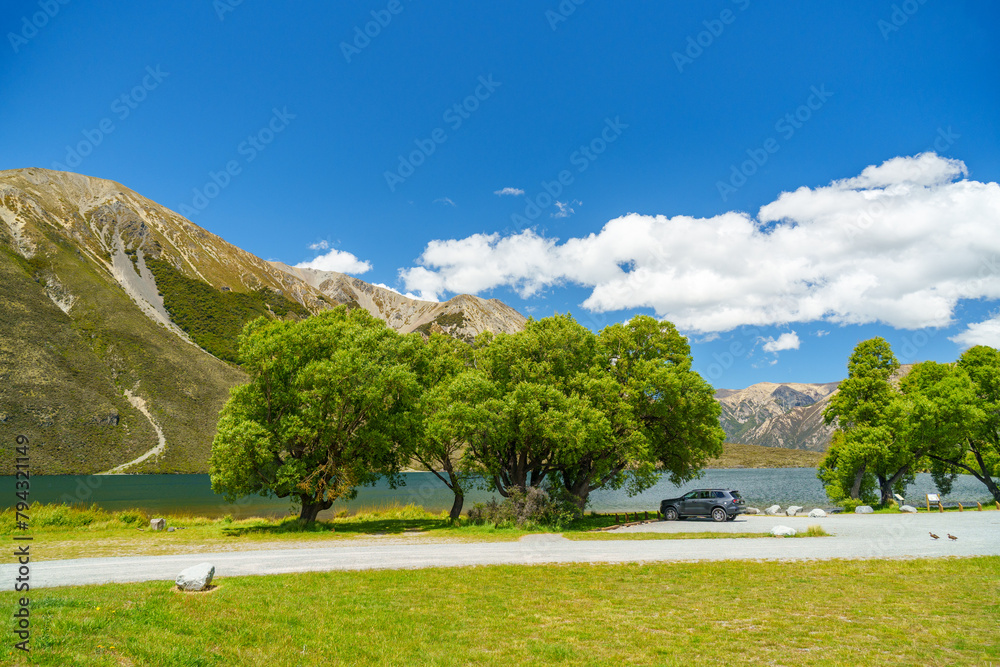 Green tree in front of a lake under blue sky