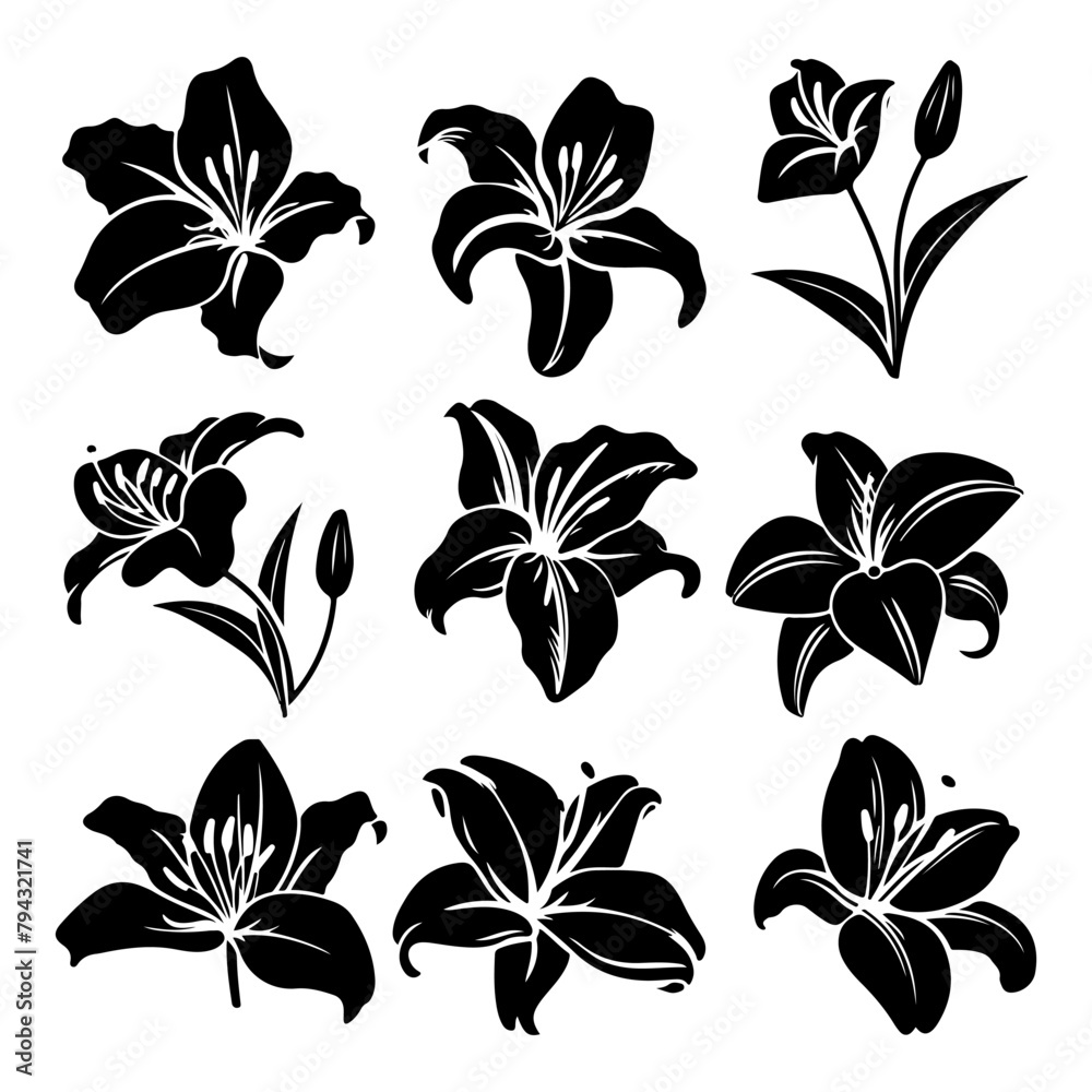 Lily flower black silhouette
