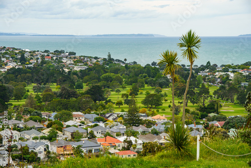 Overview of a coastal town in New Zealand