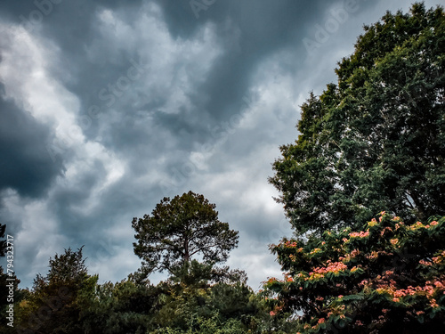 Dramatic Summer Storm Clouds Overhead