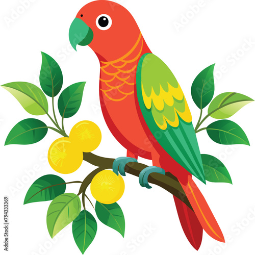 Parrot bird vector illustration