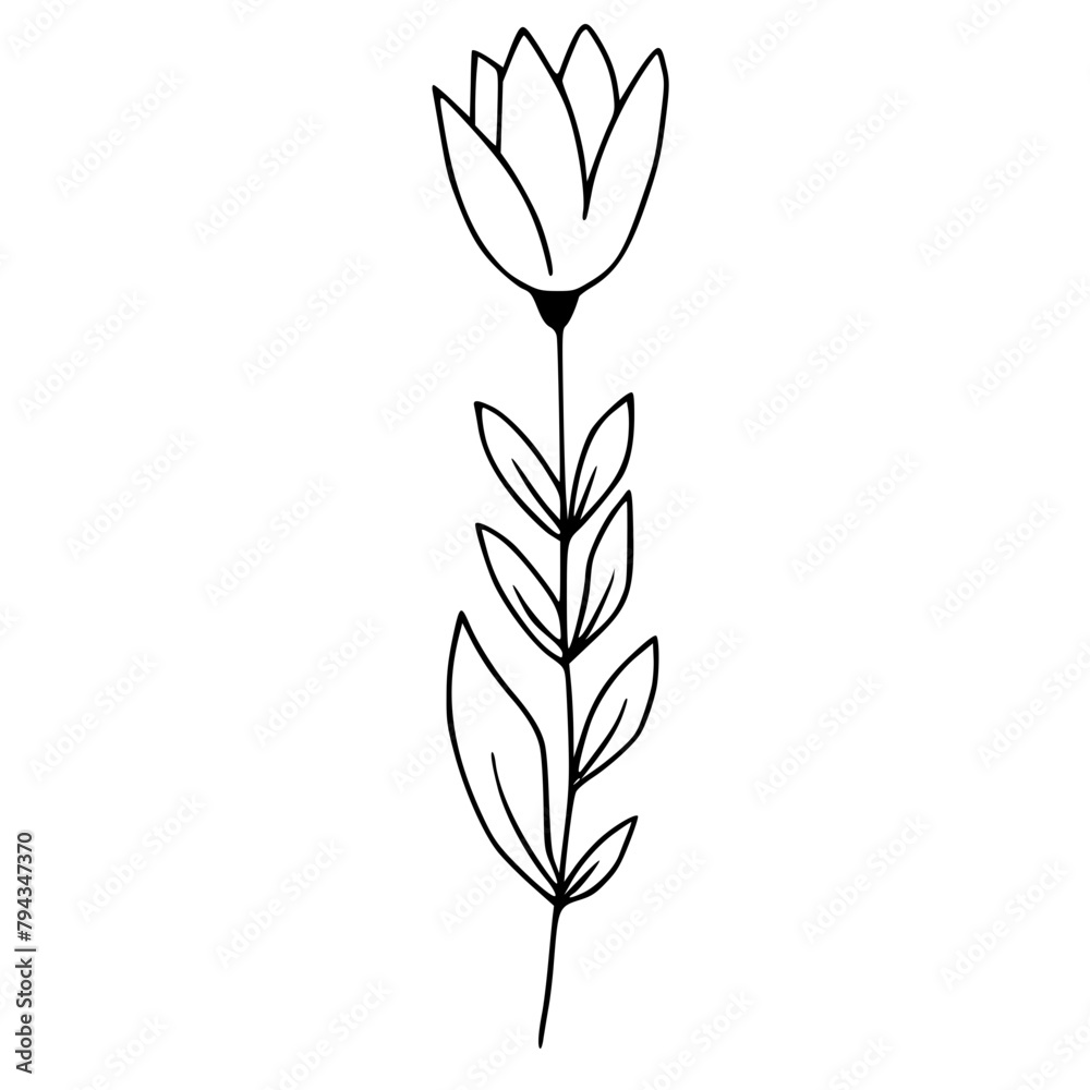 Elegant Tulip Flower Line Drawing Vector Illustration
