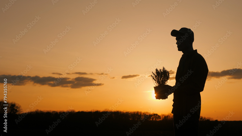 Silhouette of man with flowers at sunset, happy gesture