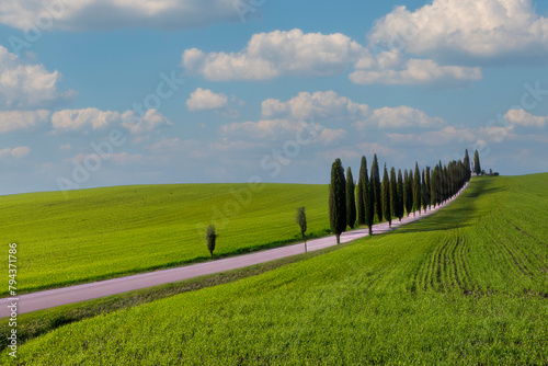 tuscany landscape with grass cypress trees and blue sky
