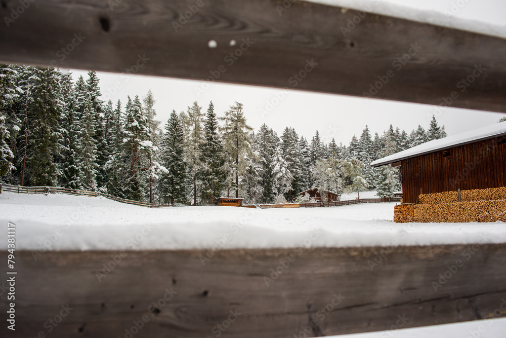 Obraz premium View through a wooden fence of a snow-covered cabin nestled among frosty trees.