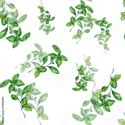 Seamless Pattern Green Juicy Basil Twigs. White Background. Watercolor Illustration. For Menus  Cookbooks  Recipes  Dishes  Cafe Business Cards  Packaging  Kitchen Textiles.