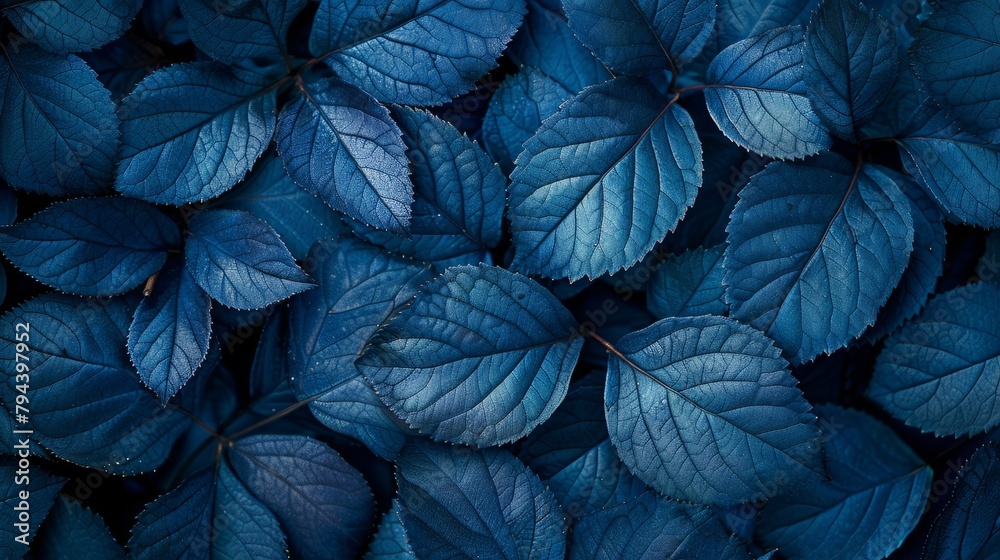 A collection of blue leaves covered with green leaves forming a striking botanical pattern