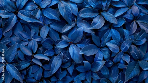 Detailed view of a cluster of blue leaves, showcasing intricate patterns and textures
