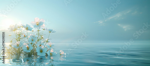 White flowers on a blue background of sky and water