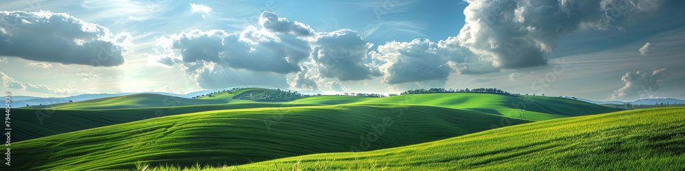 Obraz premium banner green field and blue sky with clouds