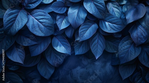   Blue leaves cluster against dark backdrop Text space on left  or Clustered blue leaves contrast against dark background Text area on left side  4
