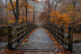 Brown Wooden Bridge ,
Trees with red leaves on the ground and a wooden walkway