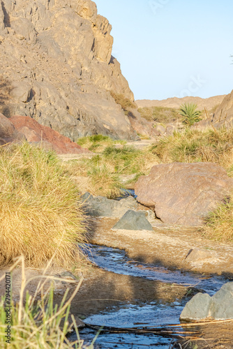 A small stream at the bottom of rocky mountains with bushes and rocks, a red colored granite rocks, a palm tree and a blue sky. Surface level view with blurred foregroung and reflective flowing water. photo