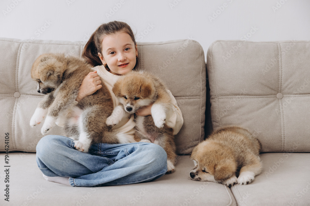 Little happy smiling girl playing and hugging Akita Inu puppies at home on sofa Little happy smiling girl playing and hugging Akita Inu puppies at home on sofa
