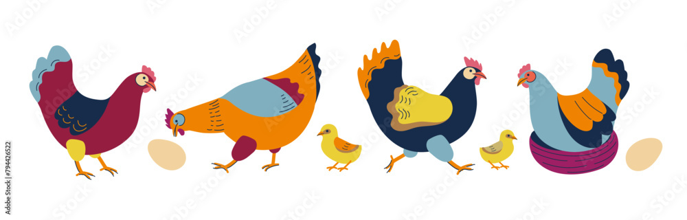 Set of chickens in different poses and hen eggs. Poultry farm animal, bird breeding, fresh eggs