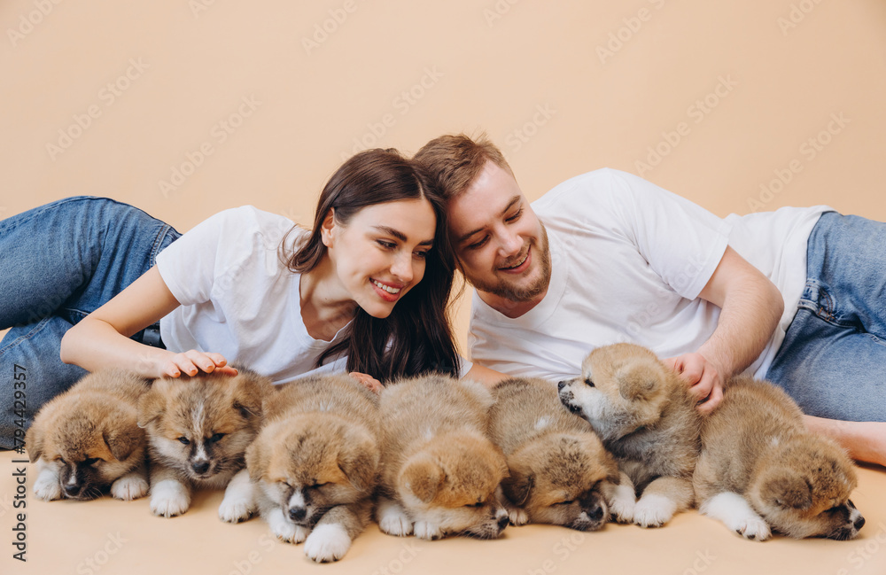Happy beautiful couple in love or dog shelter volunteers caring and playing with little funny Akita Inu puppies on beige background, world animal day