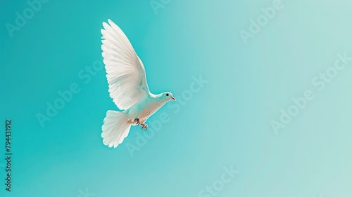 Wallpaper Mural White dove in mid-flight against clear blue sky Torontodigital.ca