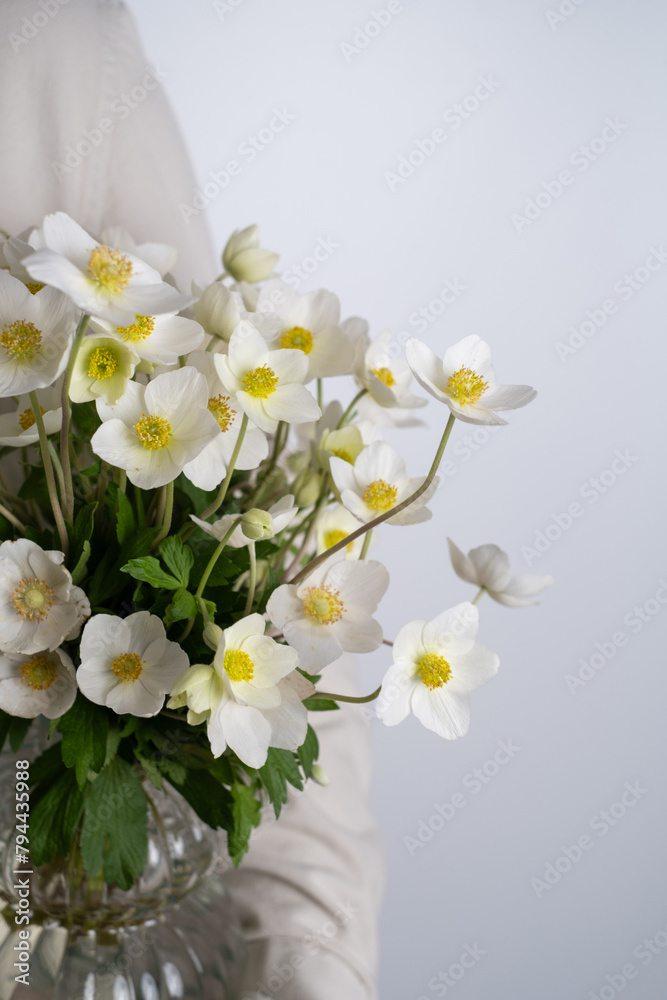 Bouquet of stylish anemones close-up. White anemone flowers. Close-up of flower petals. Floral card or wallpaper. Delicate abstract floral pastel background. Postcard