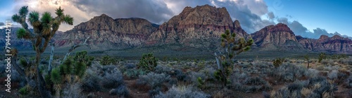 Red Rock Canyon 