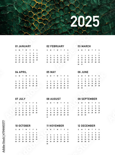Calendar 2025, the year of the green snake according to the Chinese calendar, week starts on Sunday, on white background with green snake skin texture insert. Business calendar in a minimalist style.