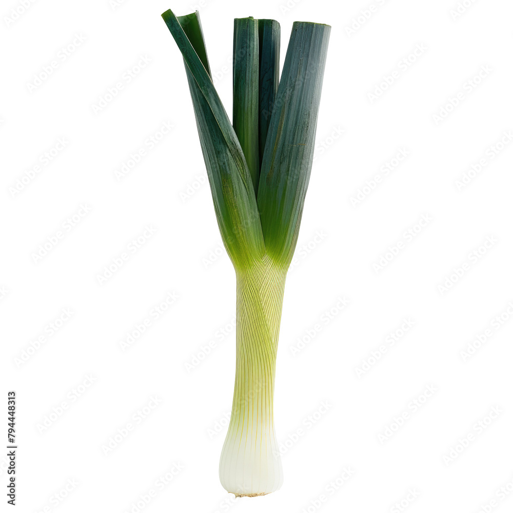 A single vibrant leek standing alone against a transparent background A single vibrant leek standing alone against a transparent background