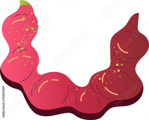 Pithecellobium dulce organic healthy beans photo