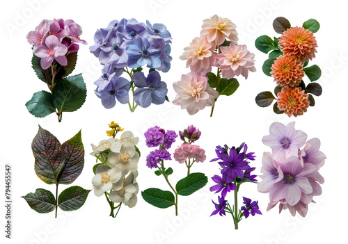 Richly hued botanical collage with luxurious flowers photo
