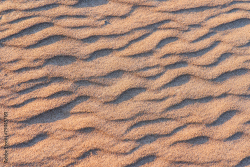 Top view of the sandy beach at sunset. Sand texture close-up
