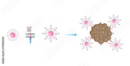 CAR T-cell therapy. Chimeric antigen receptor T cell ,CAR T cell, for use in immunotherapy. Genetic engineering. Chemotherapy. vector illustration.