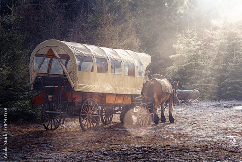 kutsche mit pferden im wald mit bäumen und strahlenden sonnenschein im winter photo