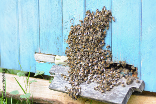 a swarm of bees at the entrance of a beehive
