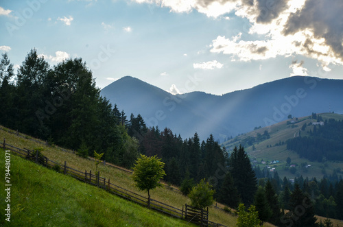 Scenic view with rolling hills covered in lush green grass and dense forests  majestic mountains in the background. Sunlight filters through the trees illuminating the verdant landscape. Carpathians