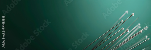 Animal acupuncturist web banner. Acupuncture needles on green background with copy space. photo