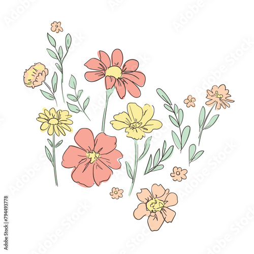 Hand Drawn flowers Decorative elements for design Vector illustration