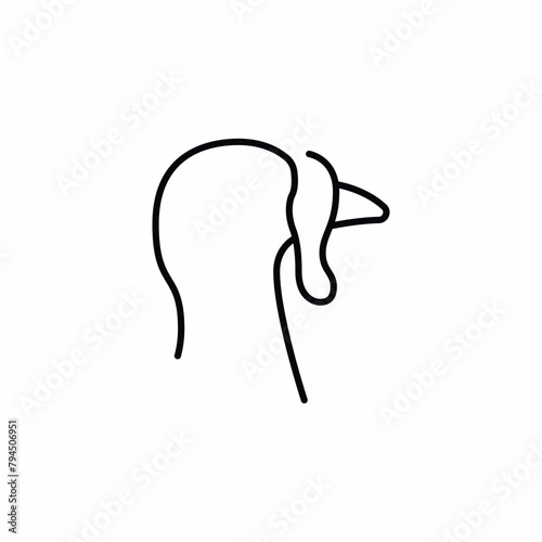 turkey domestic farm bird icon