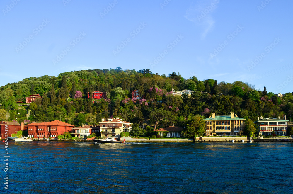 view of the bosphorus, istanbul