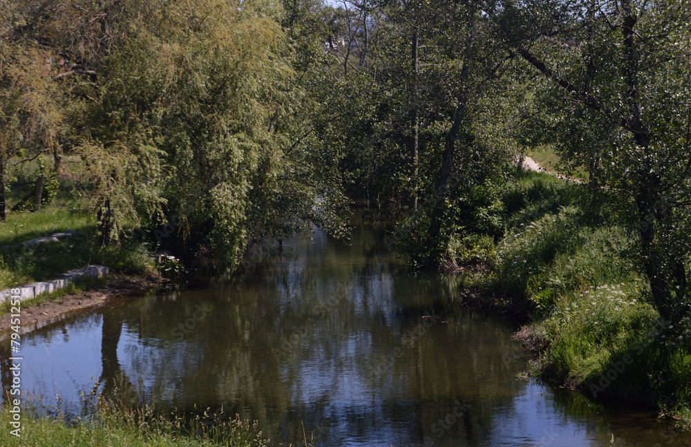 River that runs through a small forest with a natural environment mirrored in water, nature and peace