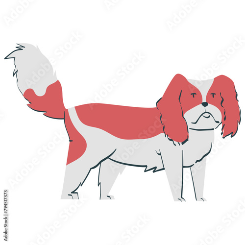 Cavalier Dog pet handdrawn illustration