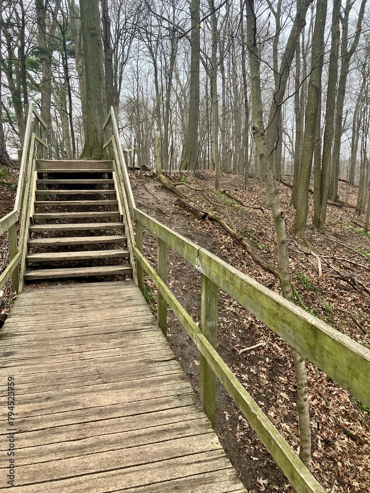 Fototapeta premium wooden bridge in forest