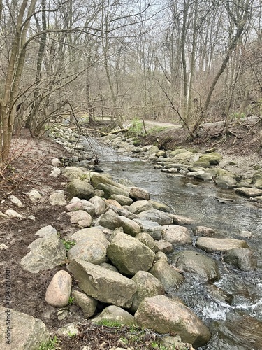 river in the forest