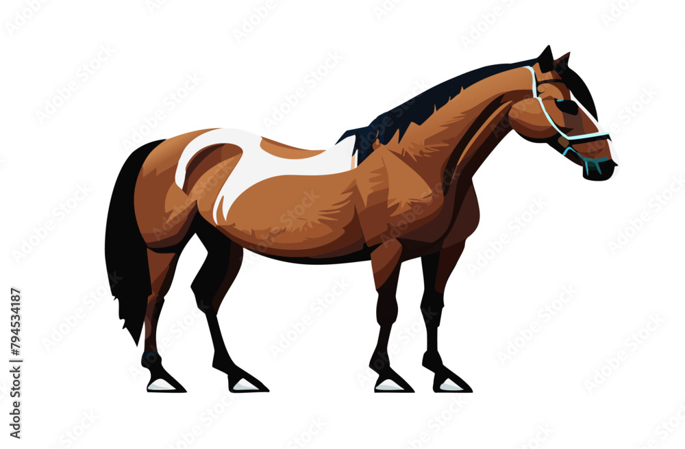 caballo vector