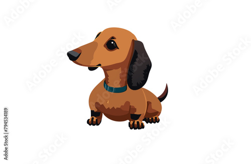 salchicha vector